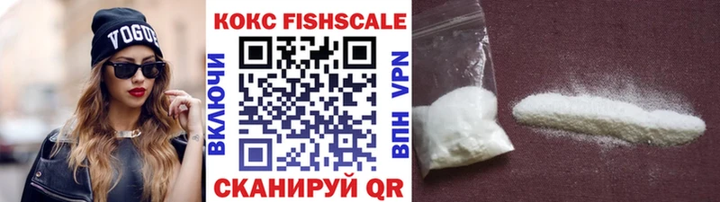 Кокаин Fish Scale  Купить закладки  Усинск 