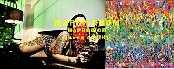 индика Семикаракорск