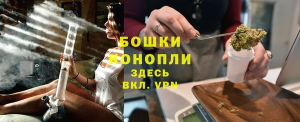 индика Семикаракорск